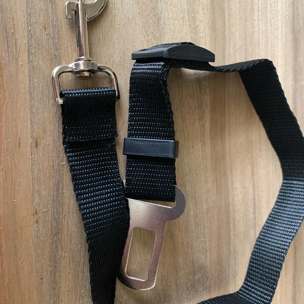 PET SEATBELT